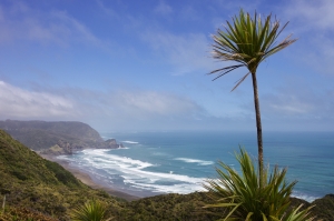 View of Piha from Anawhata road
